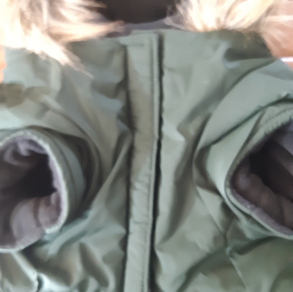 North Fetch Athletics Dog Parka - Picture 8 of 15